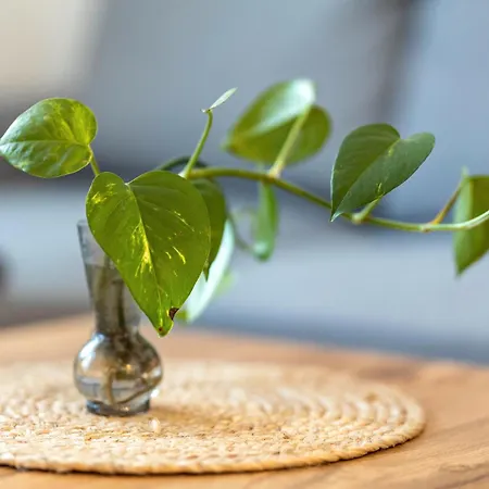 Fewo45 Homberg (Schwalm-Eder)